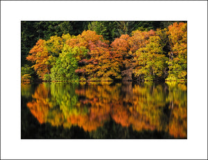 Fine art landscape photography of reflected trees in Scotland