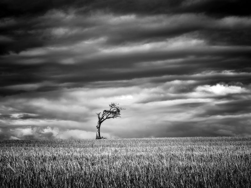 Black & White Landscape Photography