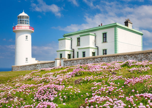 Arranmore Island lighthouse surrounded by pink sea thrift flowers on the rugged Donegal coastline under blue skies in Ireland.