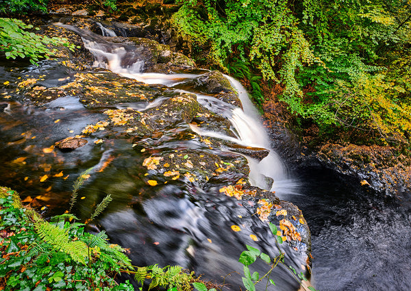 Autumn waterfall in County Antrim Ireland with flowing water over rocks and golden leaves, Irish landscape photography print