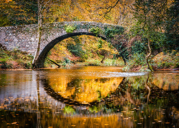 Autumn stone bridge in Ireland reflected in a calm river surrounded by golden autumn foliage