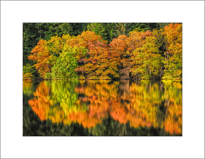 Trees reflected in autumn colours, Trossachs Scotland by John taggart Landscapes