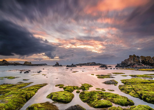 Ballintoy blue hour seascape with moss covered rocks Causeway Coast Northern Ireland landscape photography