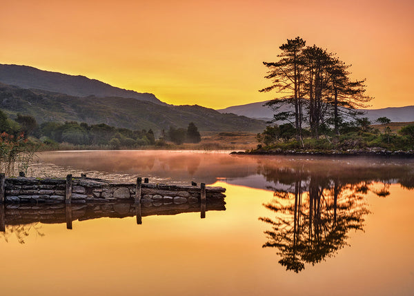 Cloonee Lake sunrise County Kerry Ireland with tree reflections and mist over calm water