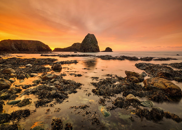 Golden sunrise over sea stacks and tidal pools on the Copper Coast in County Waterford Ireland.