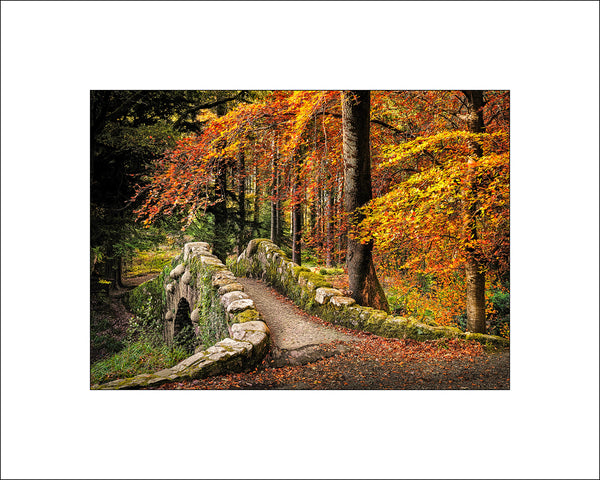 Autumnal colours at Foley's Bridge built in 1787 in Tollymore County Down Ireland by Irish fine art landscape photographer John Taggart