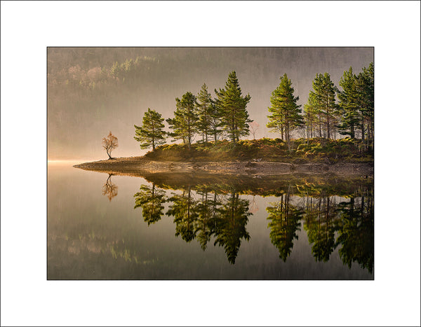  Reflected Caledonian Pines Glen Affric by John Taggart Landscapes