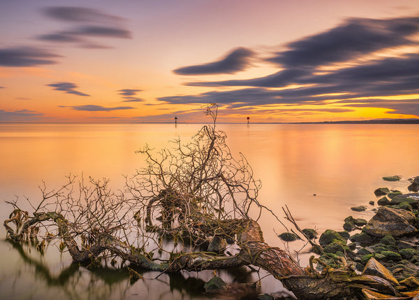 Golden sunset over Lough Neagh in County Antrim with a fallen tree, calm water and dramatic clouds, photographed by John Taggart Landscapes