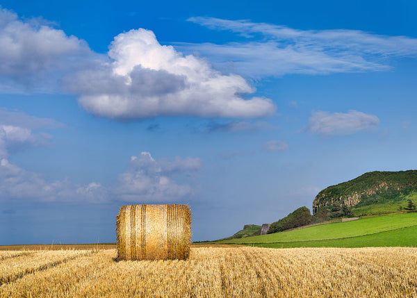 Hay bale field Ballintoy County Antrim Northern Ireland landscape