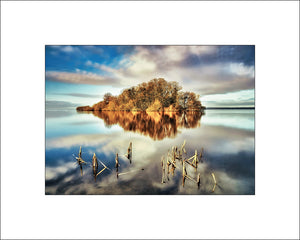 A little island on Lough Neagh seen from Rea's Wood Antrim by Irish landscape photographer John Taggart