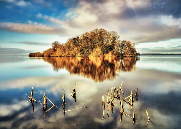 small island reflected in calm Irish lake with reeds in foreground and soft clouds mirrored in water