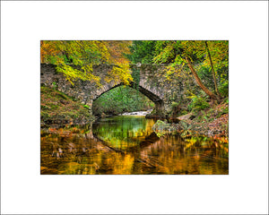 Autumnal Colours at the lovely Ivy Bridge in County Down by  Irish Landscape Photographer John Taggart