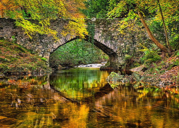 Ivy covered stone bridge over calm river in Ireland with autumn reflections and forest scenery