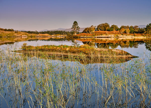 Lough Cloonee County Kerry Ireland lake reeds reflection landscape photography print