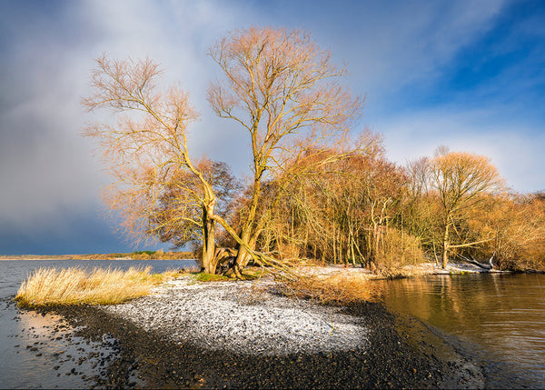 A winter morning on the shores of Lough Neagh against a backdrop of sun kissed trees near Antrim town.