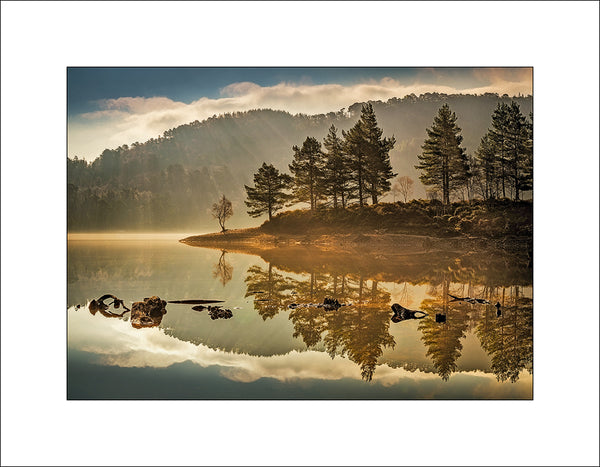 Misty morning among the Caledonian pines of Glen Affric by John Taggart Landscapes