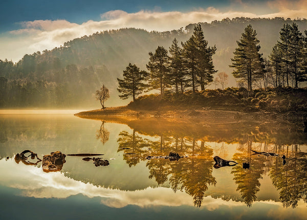 A serene mountain lake landscape at sunrise with mist, sunbeams, evergreen trees on a peninsula, and their reflections clearly visible in the still water.
