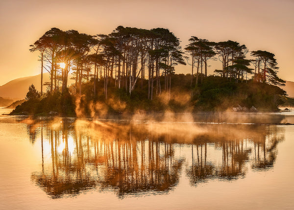 Connemara sunrise with tall trees reflected in still lake and mist rising over water Ireland landscape photography