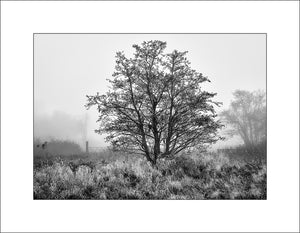 Black & white Irish Landscape Photography by John Taggart 