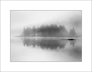 Morning mist on these beautiful Caledonian Pine Trees in Glen Affric, Strathglass, in the Scottish Highlands by John Taggart Landscapes