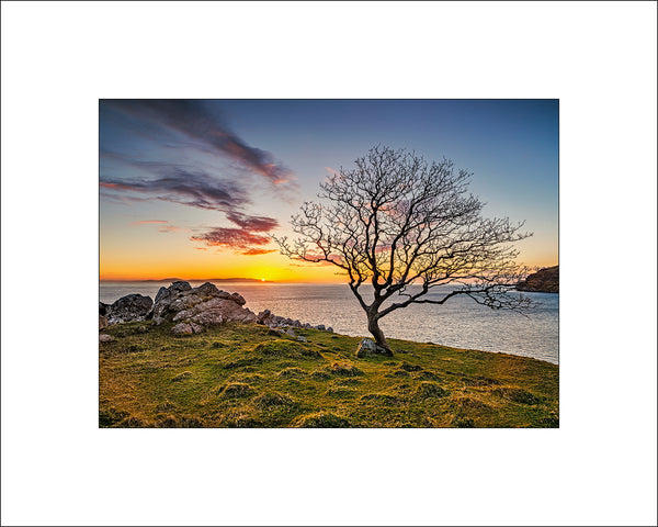 Sunrise off a lone tree at Murlough Bay on the North Coast of Ireland on a beautiful morning as the dappled light lit up the foreground by John Taggart Landscapes