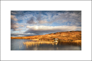 Rannoch Moor in Autumn Colours, Highlands of Scotland by John Taggart Landscapes