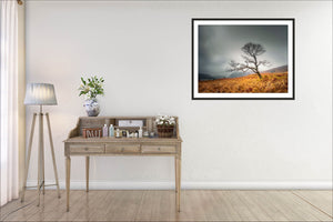 Elevate your space with Irish Landscape Photography wall art by John Taggart Landscapes