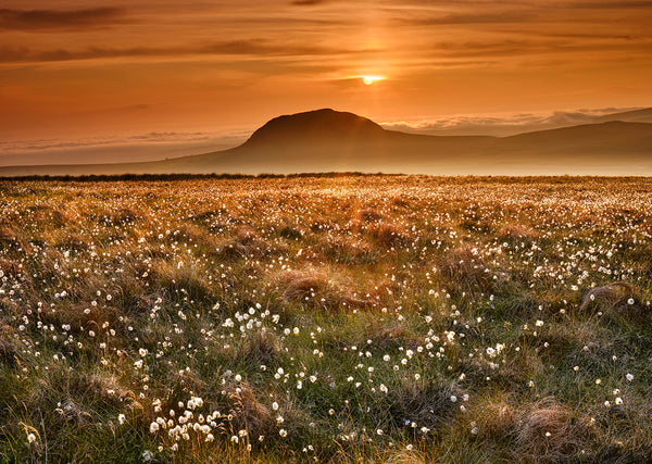 Slemish Mountain sunset County Antrim Ireland landscape photography print