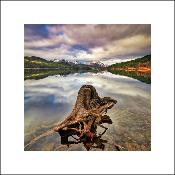 The old tree stump at Loch Beinn á Mheadhoin in the Scottish Highlands by John Taggart Landscapes