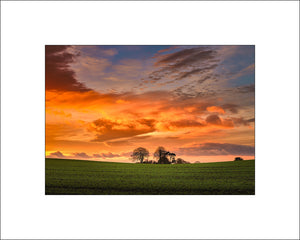 Trees &amp; Sunrise at Seaforde in beautiful County Down by John Taggart Irish Landscape Photographer