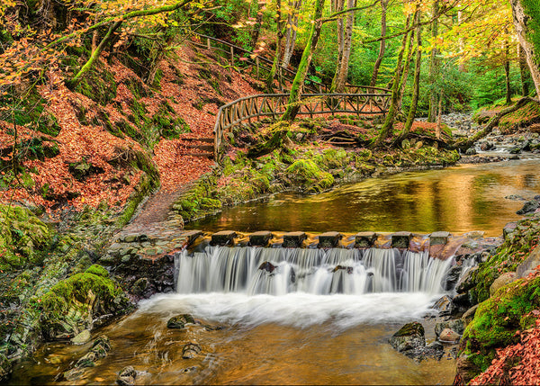 Tollymore Forest Park waterfall and wooden bridge in autumn, County Down Northern Ireland