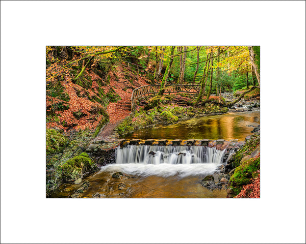 The Shimna River at Tolymore in County Down, Northern Ireland by Irish Landscape Photographer John Taggart