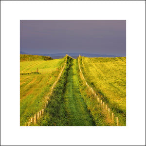 Stormy sunlight across The Field At Ballintoy in beautiful County Antrim by John Taggart Landscapes