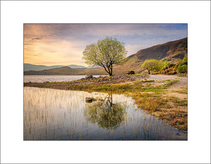 Beautiful morning golden hour magic by the water’s edge. 
This peaceful scene at Dunlewy Lough County Donegal with the tree’s reflection is nature’s reminder to slow down and take it all in. By John Taggart Landscapes