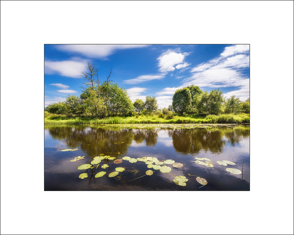 Summer Lilies on the River Unshin in County Sligo by John Taggart Landscape Photography