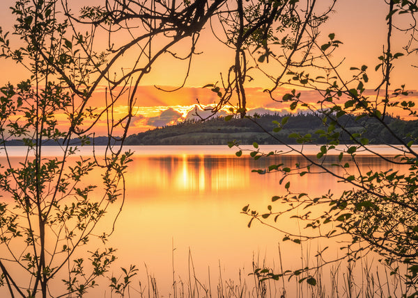 Sunset across &nbsp;beautiful Lough Lene in County Westmeath
Near the Fore Valley Lough Lene is a tranquil spot and a beautiful place to watch the sun go down in summer and enjoy what the stunning Irish Landscape has to offer.