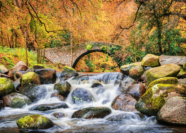 Whitewater Bridge stone arch over river in autumn, County Down Ireland
