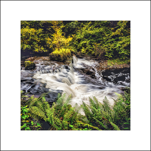 One of the many waterfalls on the lovely Ballaghnairillick River in the beautiful Gleniff in County Sligo by John Taggart Landscapes