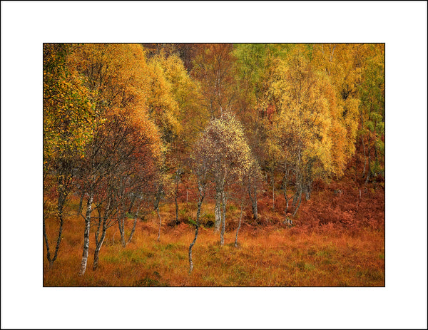Scottish Fine Art Landscape Photography|Glen Cannich|John Taggart Landscapes