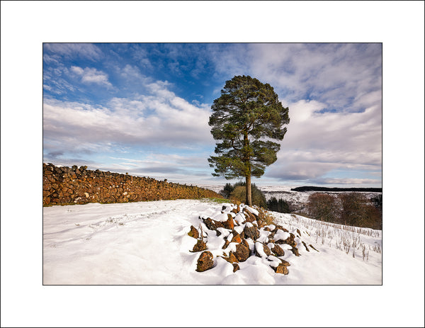 Glenariff Winter Northern Ireland Landscape Photography