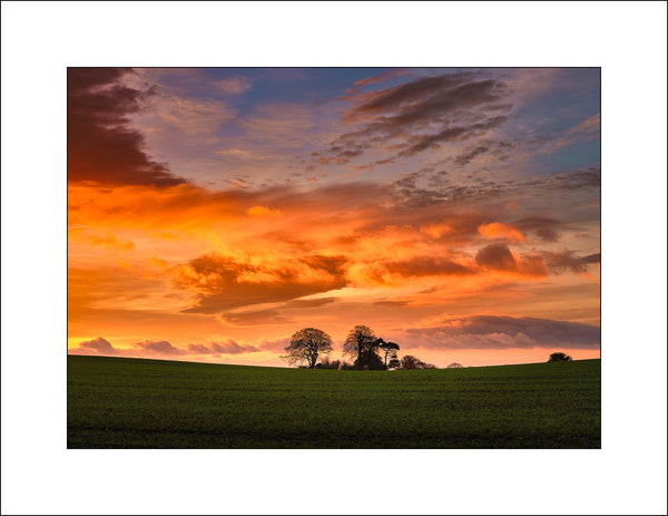 Sunrise at Seaforde Co Down by Irish Landscape Photographer John Taggart
