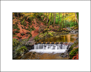 The stepping stones in Tollymore Co Down Northern Ireland by Irish Landscape Photographer John Taggart