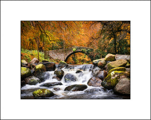 Whitewater Bridge at Mourne Park Co Down Northern Ireland in autumn colours by John Taggart Landscapes
